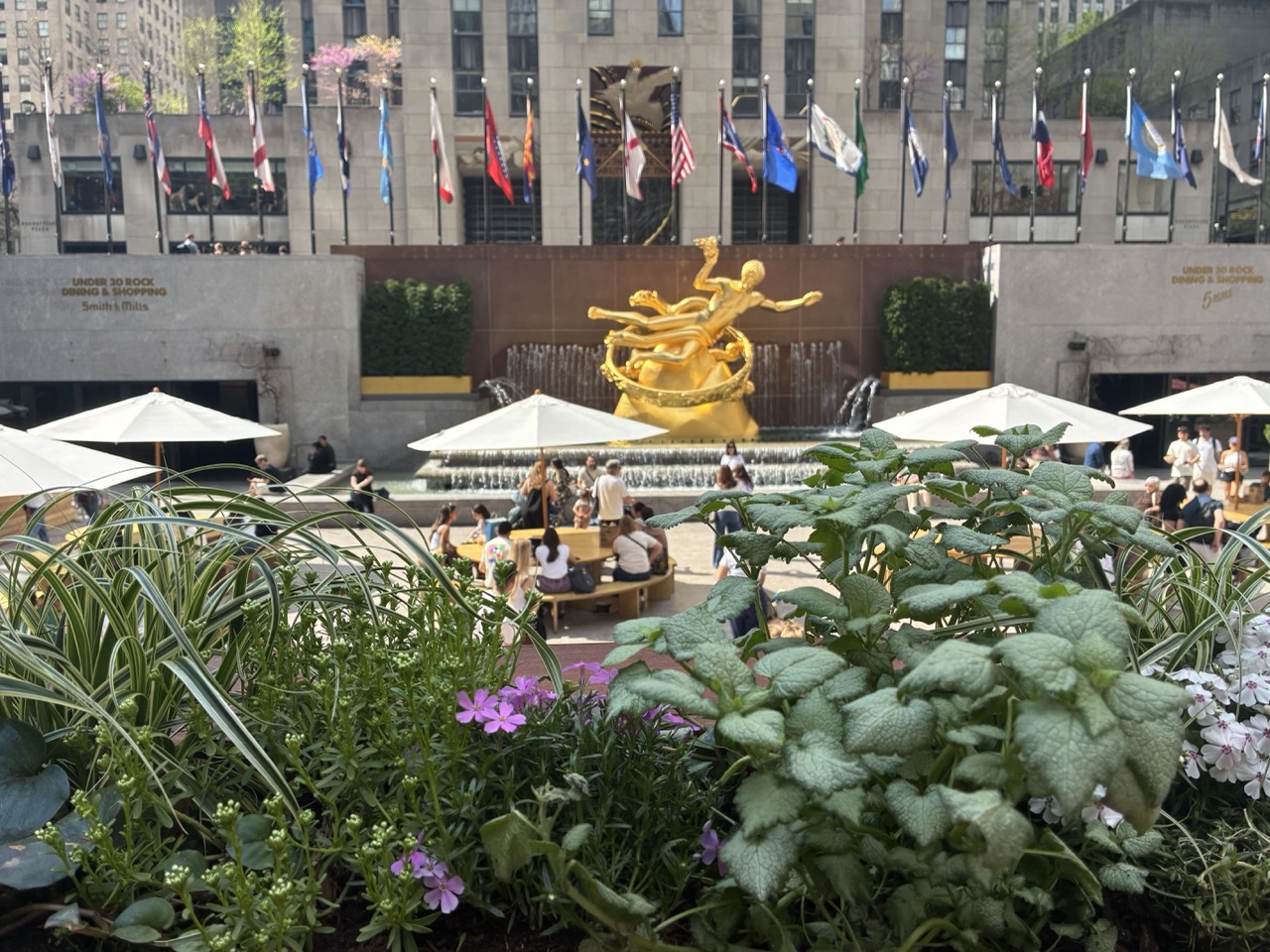 NYC Rockefeller podziemia