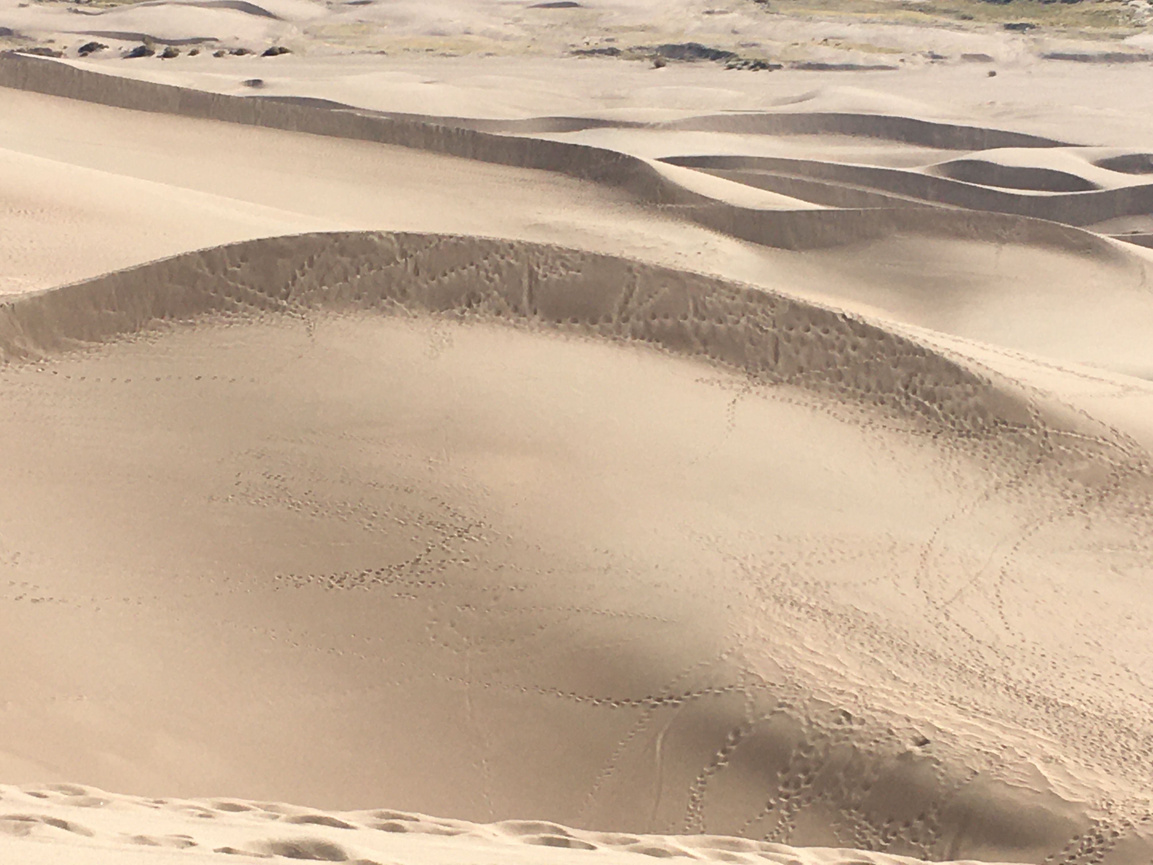 Mesquite Flat Sand Dunes